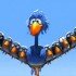 For the Birds